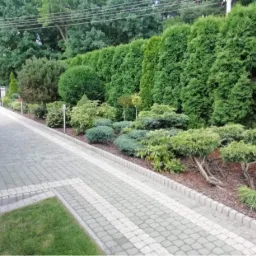 Ułożona kostka brukowa prowadząca wzdłuż starannie wypielęgnowanego ogrodu z r&oacute;żnorodną roślinnością, w tle wysokie tuje.
