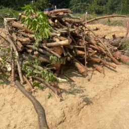 Stos pociętych gałęzi i pni drzew leżący na piaszczystym podłożu, z zielonymi liśćmi na niektórych gałęziach i widocznymi śladami opon w tle.