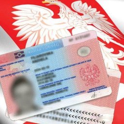 Pisma wnioski podania Marki 3