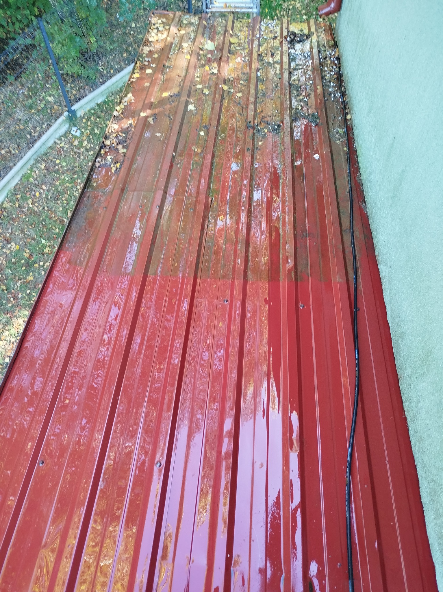 Częściowo umyta, czerwona blacha trapezowa na dachu domu. Widoczna granica czystości i resztki liści. W tle zieleń i fragment ściany budynku.