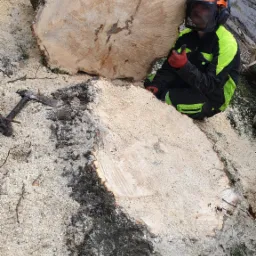 Robotnik w kasku i osłonie twarzy siedzi obok świeżo ściętych, dużych kawałków pnia drzewa, otoczonych wiórami i trocinami, z widocznym młotem klinowym.