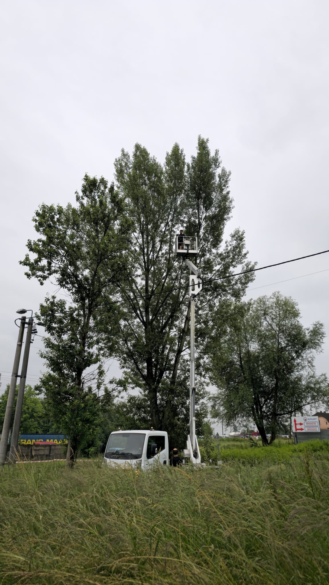 Pracownik na podnośniku koszowym przycina wysokie drzewo, biała ciężarówka z podnośnikiem stoi na zarośniętym trawnikiem terenie, widoczne słupy energetyczne i tablica reklamowa w tle.