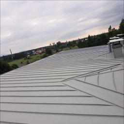 G - Roof - Wysokiej Klasy Malowanie Dachów Kraków