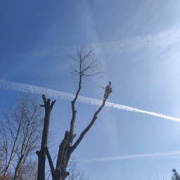 Malowanie dachów Brzeszcze 1