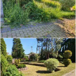 Zdjęcie 'przed i po' przedstawiające transformację ogrodu: zarośnięty teren z chwastami i wysoką trawą w uporządkowany trawnik z przyciętymi krzewami i drzewami, ukazujące efekt wykonanych prac.