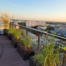 IŚCIE KWIECIŚCIE Pracownia projektowania i aranżacji zieleni i kwiatów - Rząd czarnych donic z ozdobnymi trawami i iglakami na tarasie z widokiem na miasto o zachodzie słońca.