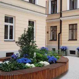 Metamorfoza mokotowskiego podwórka