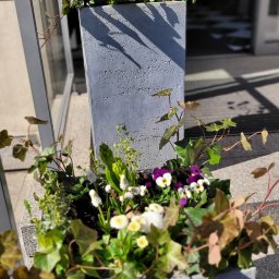 IŚCIE KWIECIŚCIE Pracownia projektowania i aranżacji zieleni i kwiatów - Wiosenna aranżacja patio wilanowskiej restauracji