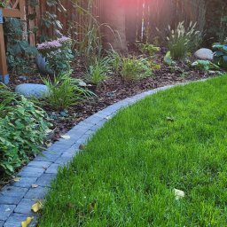 IŚCIE KWIECIŚCIE Pracownia projektowania i aranżacji zieleni i kwiatów - Metamorfoza ogrodu na Ursynowie - wymiana trawnika, propozycja nowych nasadzeń