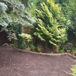 IŚCIE KWIECIŚCIE Pracownia projektowania i aranżacji zieleni i kwiatów - Remont ogrodu na Żoliborzu - ogród był totalnie zapuszczony, wyczyszczenie ogrodu, propozycja nowych nasadzeń, trawnik