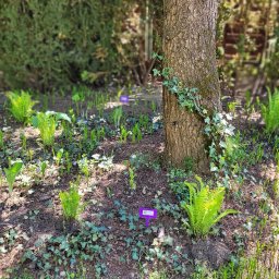 IŚCIE KWIECIŚCIE Pracownia projektowania i aranżacji zieleni i kwiat&oacute;w - Przed domem Warszawa