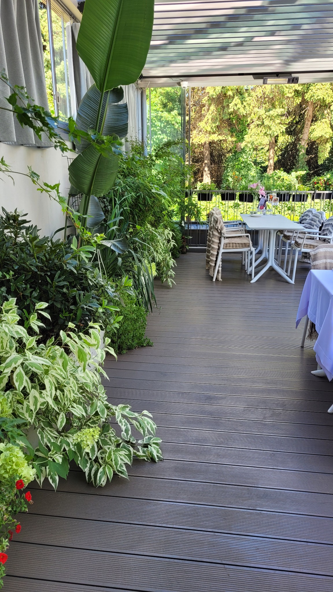 Projekt i realizacja - patio w restauracji