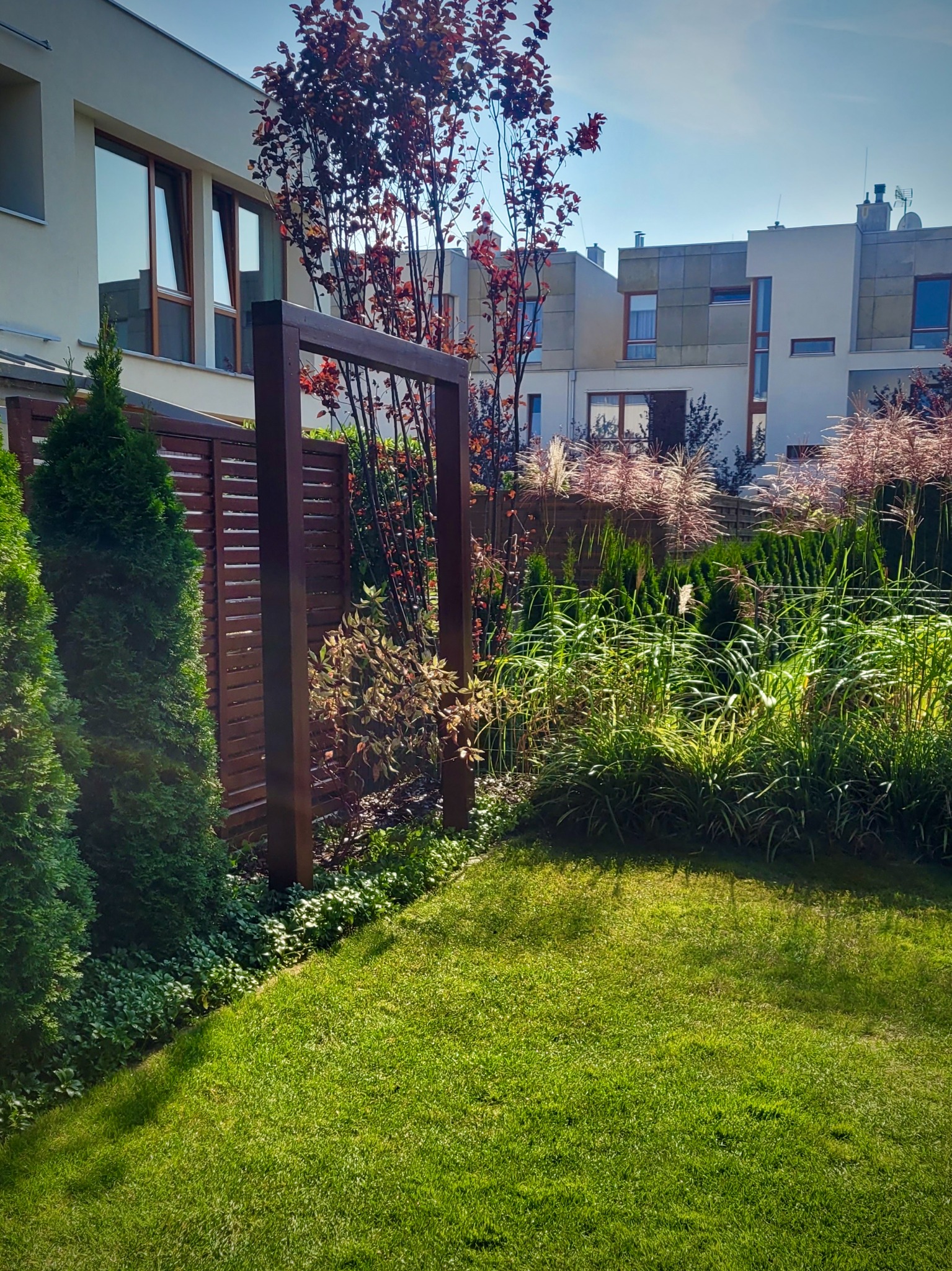 Ogród przydomowy z zielonym trawnikiem, ozdobnymi trawami, tujami i drewnianym ażurowym panelem na tle nowoczesnej zabudowy.