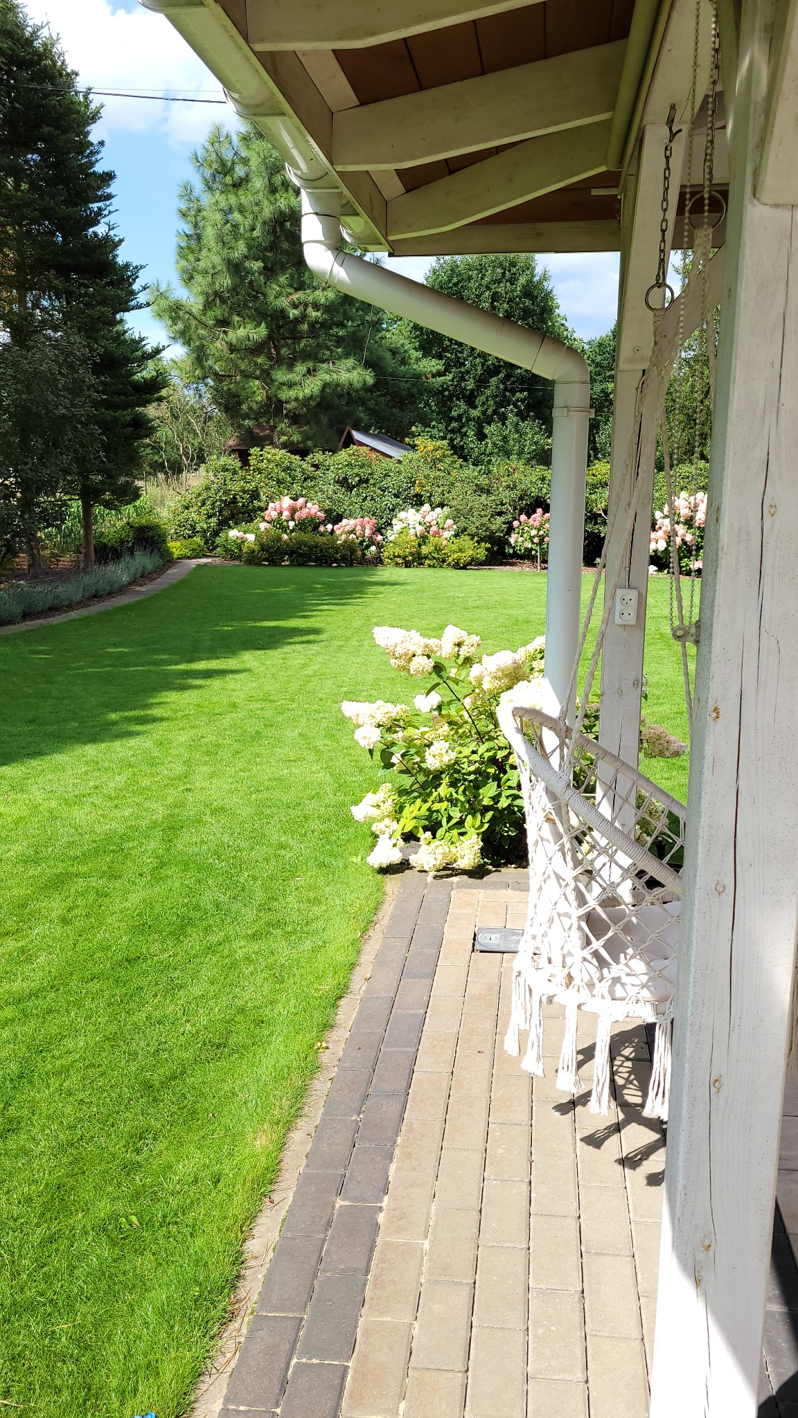 Starannie utrzymany trawnik z kwitnącymi hortensjami w tle, widok z zadaszonego tarasu z huśtawką hamakową.