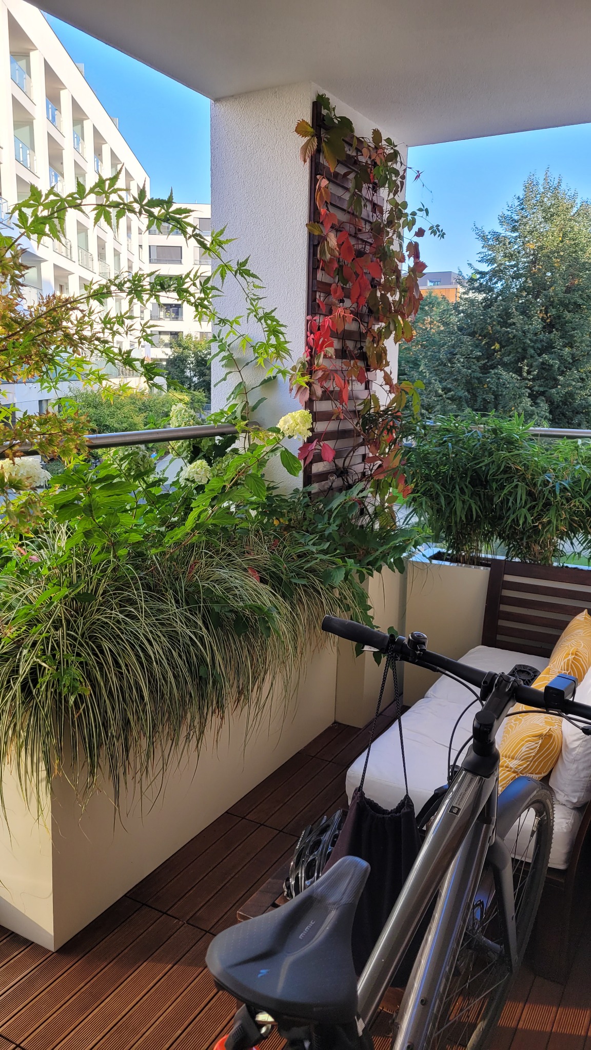 Zacieniony balkon z roślinami w donicach, pnączami na ścianie, drewnianą podłogą i rowerem opartym o ławkę z poduszkami.