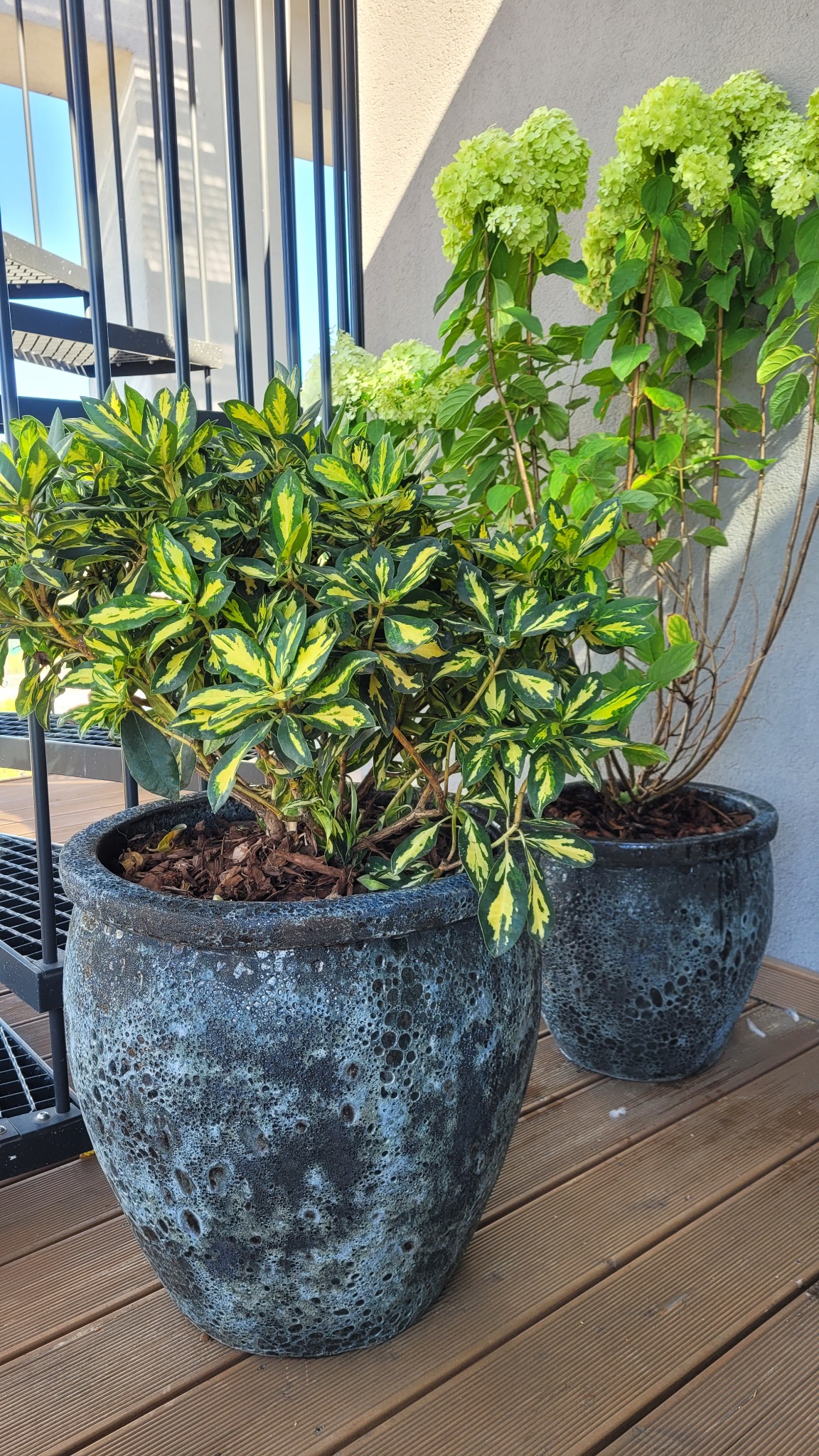 Dwie duże, teksturowane donice z roślinami na drewnianym tarasie, z widocznymi schodami spiralnymi w tle.