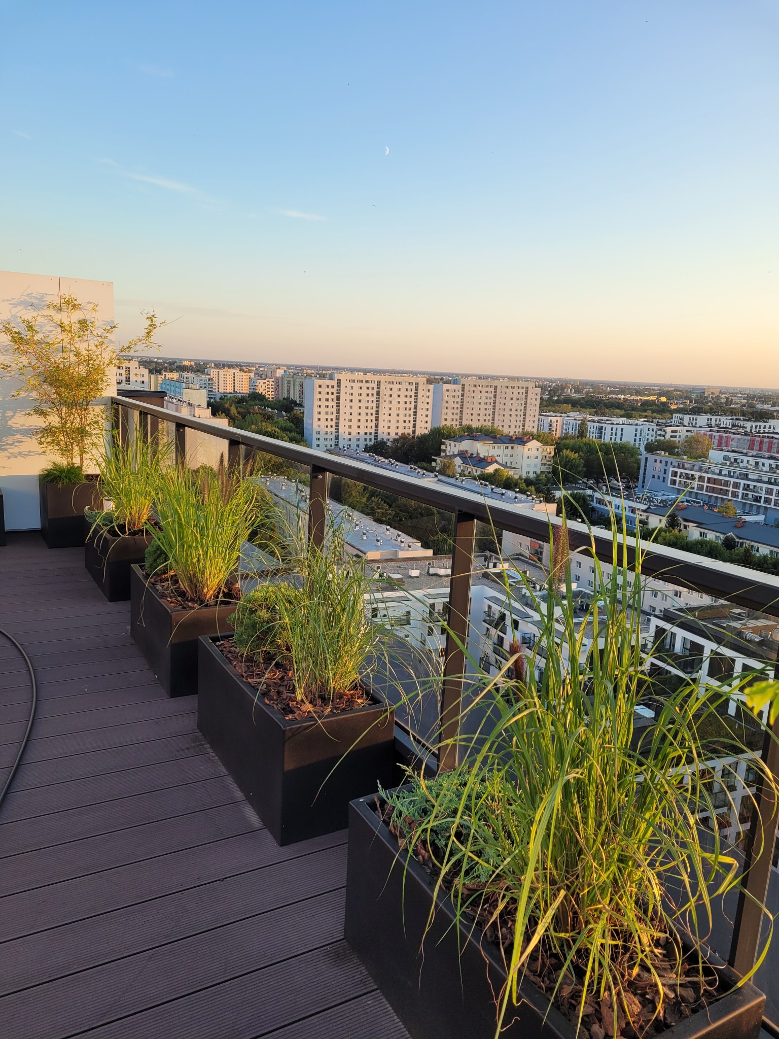 Rząd czarnych donic z ozdobnymi trawami i iglakami na tarasie z widokiem na miasto o zachodzie słońca.