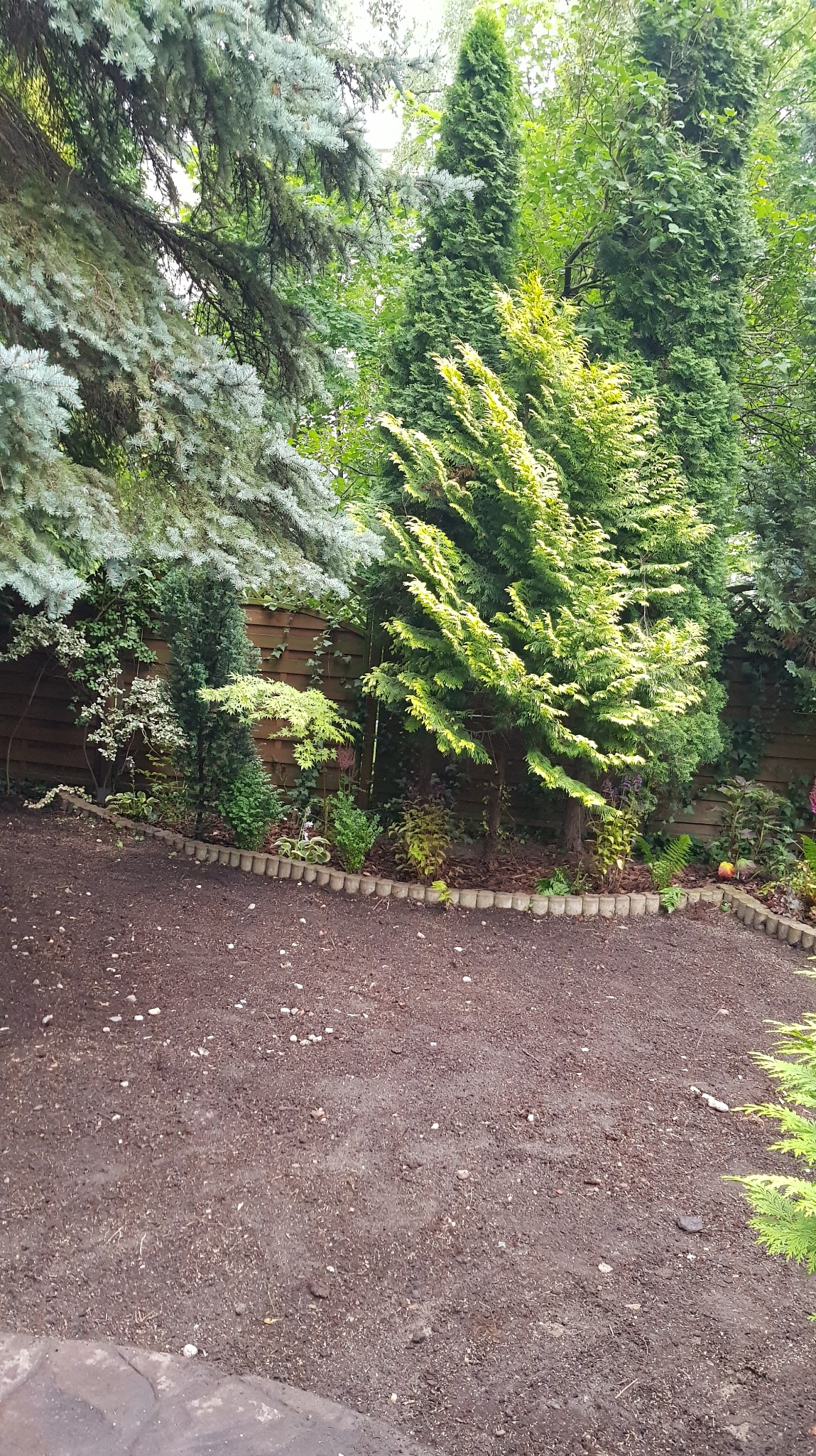 Remont ogrodu na Żoliborzu - ogród był totalnie zapuszczony, wyczyszczenie ogrodu, propozycja nowych nasadzeń, trawnik