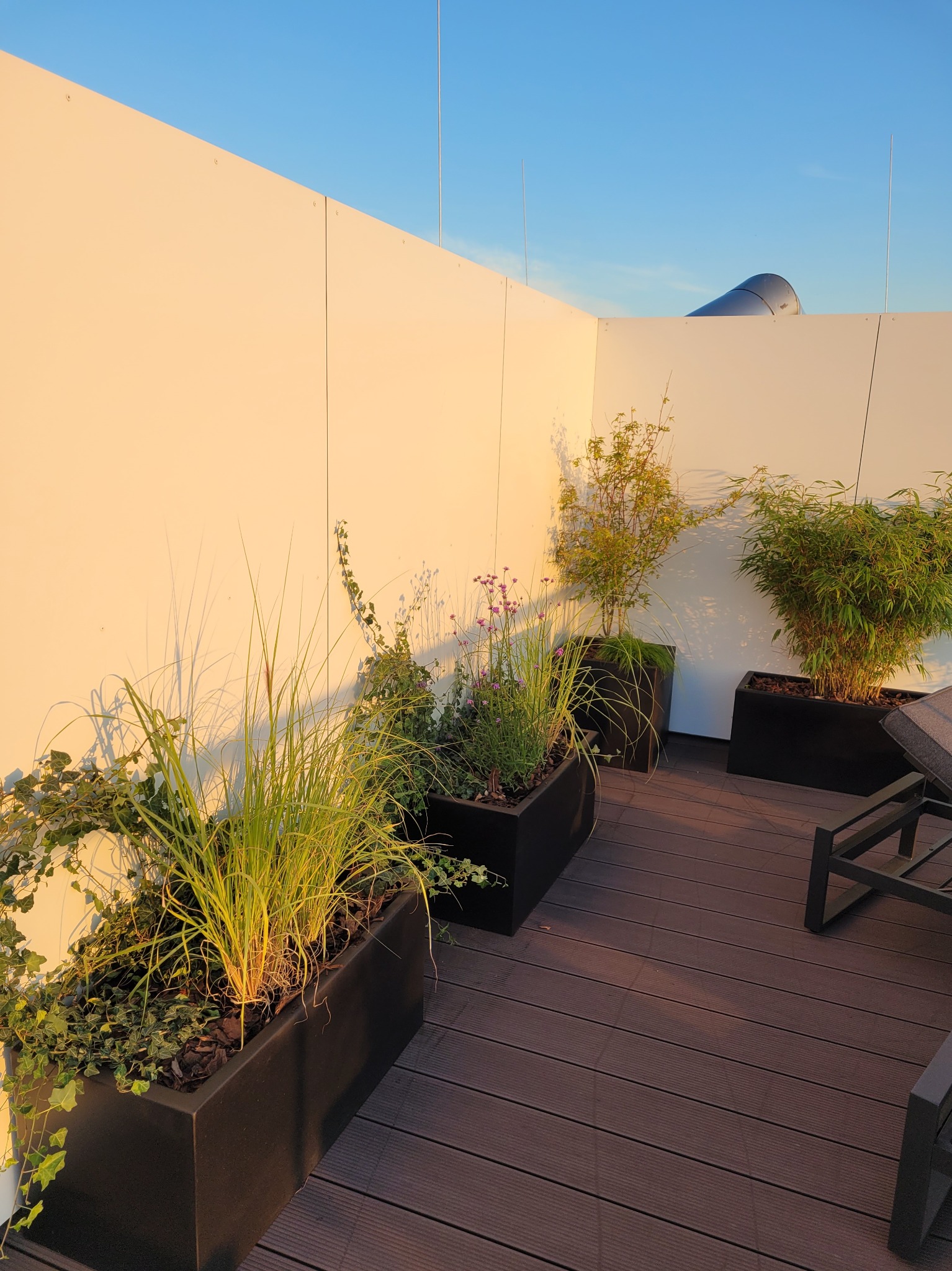 Aranżacja tarasu na dachu z roślinami w czarnych donicach, drewniana podłoga, białe ściany. Ujęcie w ciepłym świetle słonecznym, widok na fragment mebli.