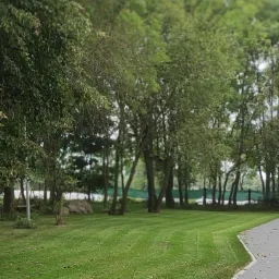 Świeżo skoszony trawnik z wyraźnymi pasami, graniczący z brukowaną ścieżką, w tle drzewa i fragment jeziora.