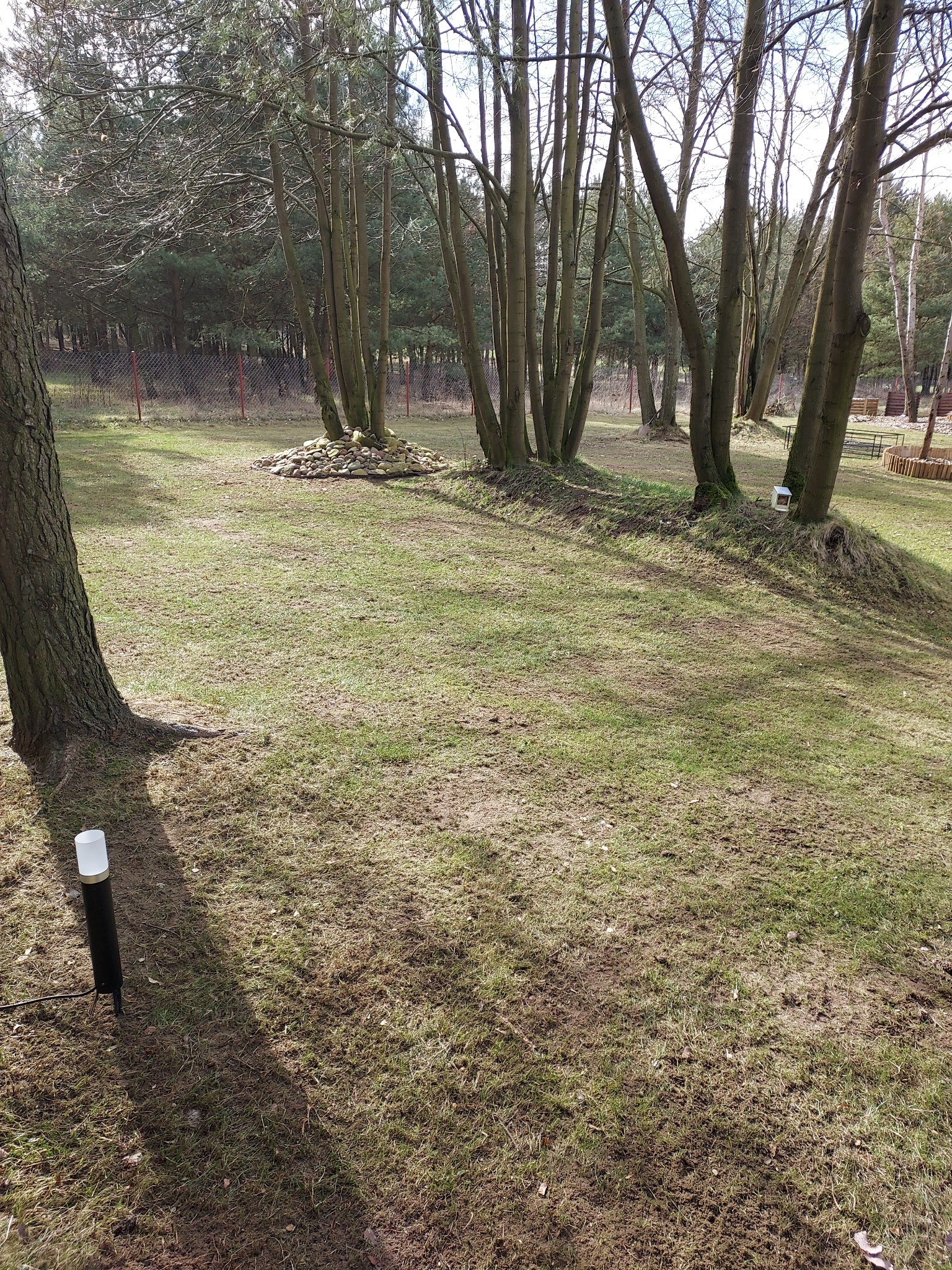 Ogród z młodą trawą, kępami ziemi, drzewami i lampą ogrodową w tle, widoczne ślady po pracach ziemnych.