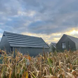 Nowoczesne domy jednorodzinne z ciemną elewacją i dwuspadowymi dachami, widoczne zza pola kukurydzy o zmierzchu.