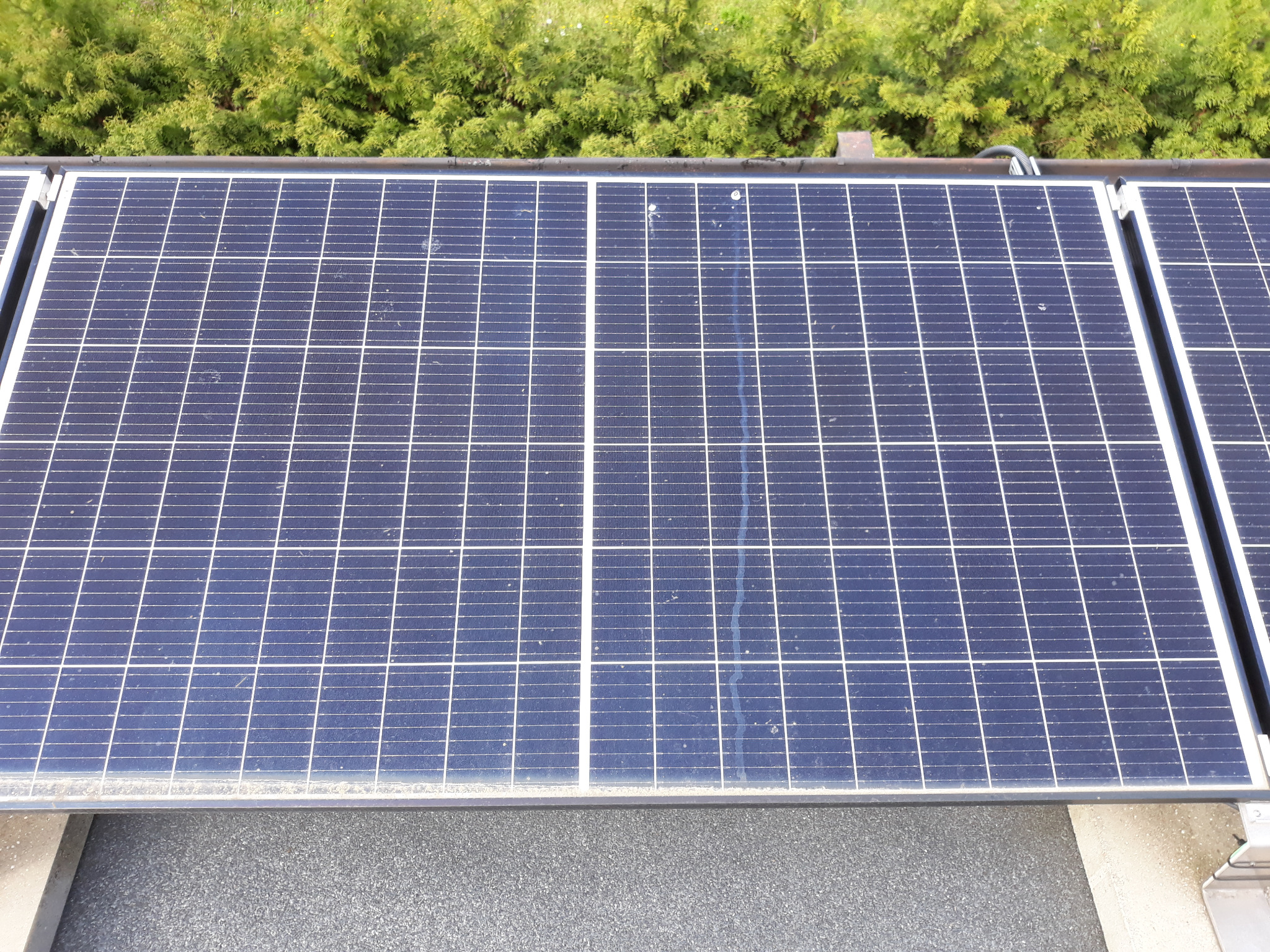 Moduł przed umyciem