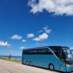 Przewóz osób Pruszcz Gdański 2