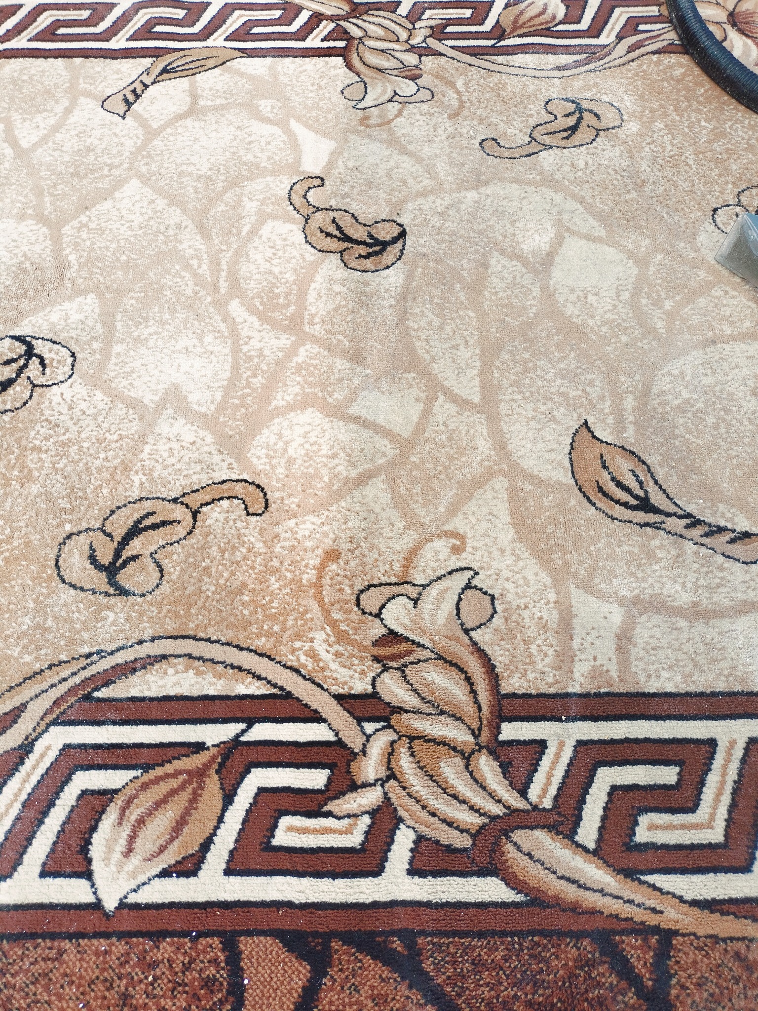 Beżowy dywan z brązowym wzorem liści i geometrycznym obramowaniem, częściowo wyczyszczony, widoczny fragment odkurzacza piorącego.