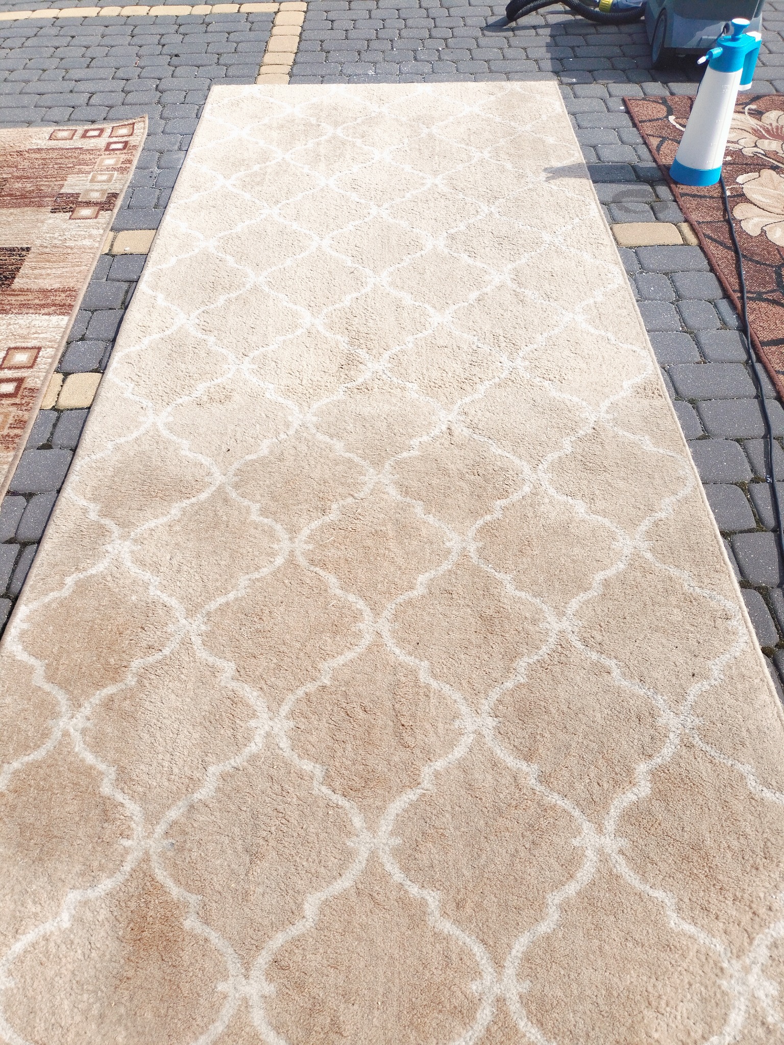 Długi, beżowy dywan z białym wzorem leżący na kostce brukowej, obok widoczne inne dywany i sprzęt do prania.