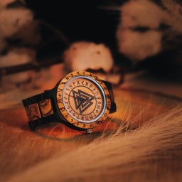 Kamerzysta Kurzętnik 4