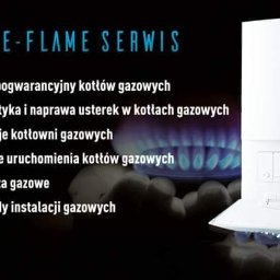 Blue Flame Serwis - Dobre Piece Wejherowo