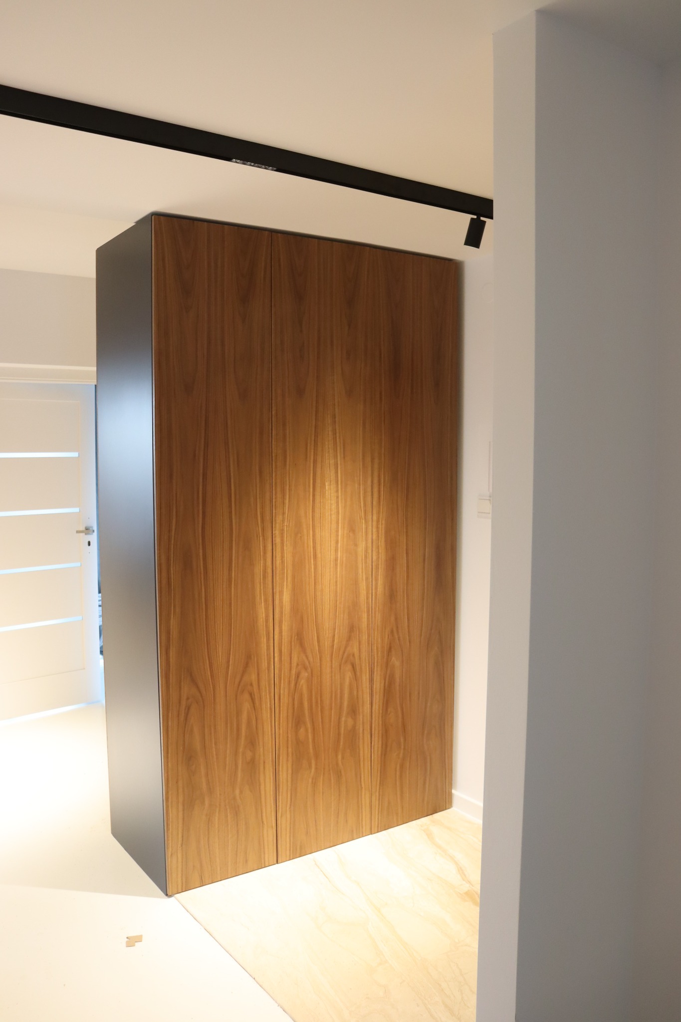 Szafa wolnostojąca lakierowana. Front fornir z orzecha amerykańskiego.