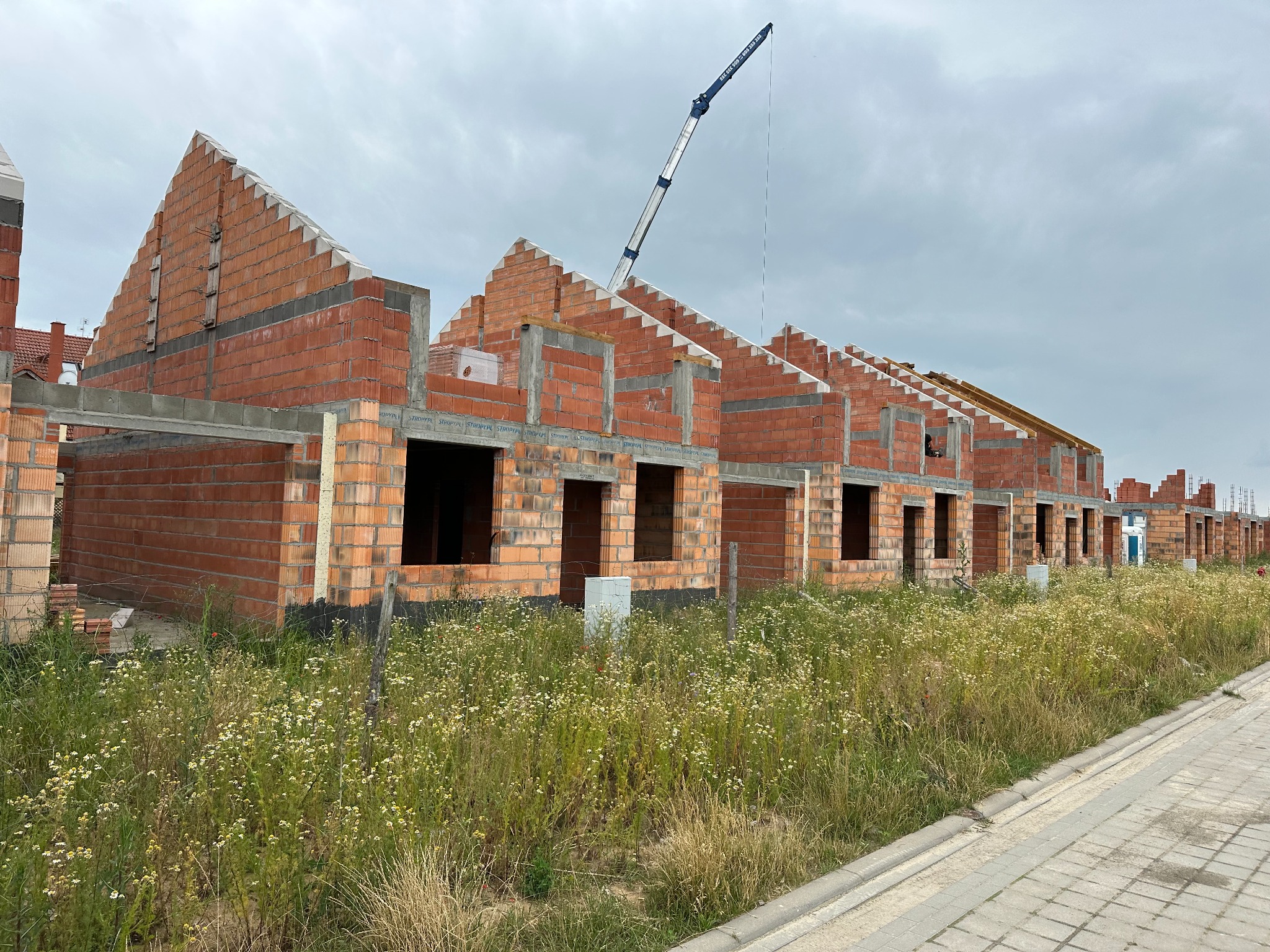 Wznoszone szeregowo domy z czerwonej cegły w stanie surowym otwartym, z widocznym żurawiem budowlanym na tle pochmurnego nieba. W pierwszym planie dzikie kwiaty i trawa.