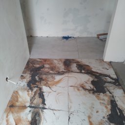 Glazurnik Sulejówek 1