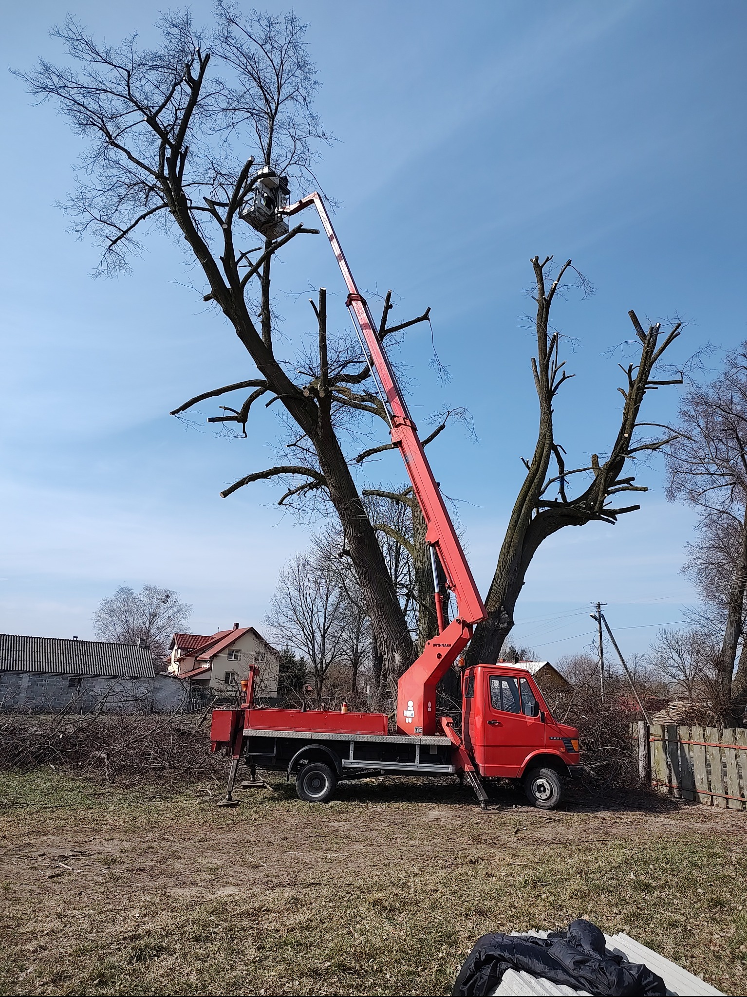 Czerwony podnośnik koszowy przy częściowo ogołoconym drzewie w słoneczny dzień. Ścięte gałęzie leżą na ziemi. Widoczne budynki w tle.