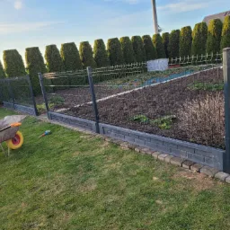 Nowoczesne ogrodzenie panelowe z podmurówką betonową i obrzeżem z kostki, otaczające przygotowany teren pod uprawę, w tle rząd strzyżonych żywotników i fragment domu, na trawniku taczka z narzędziami.