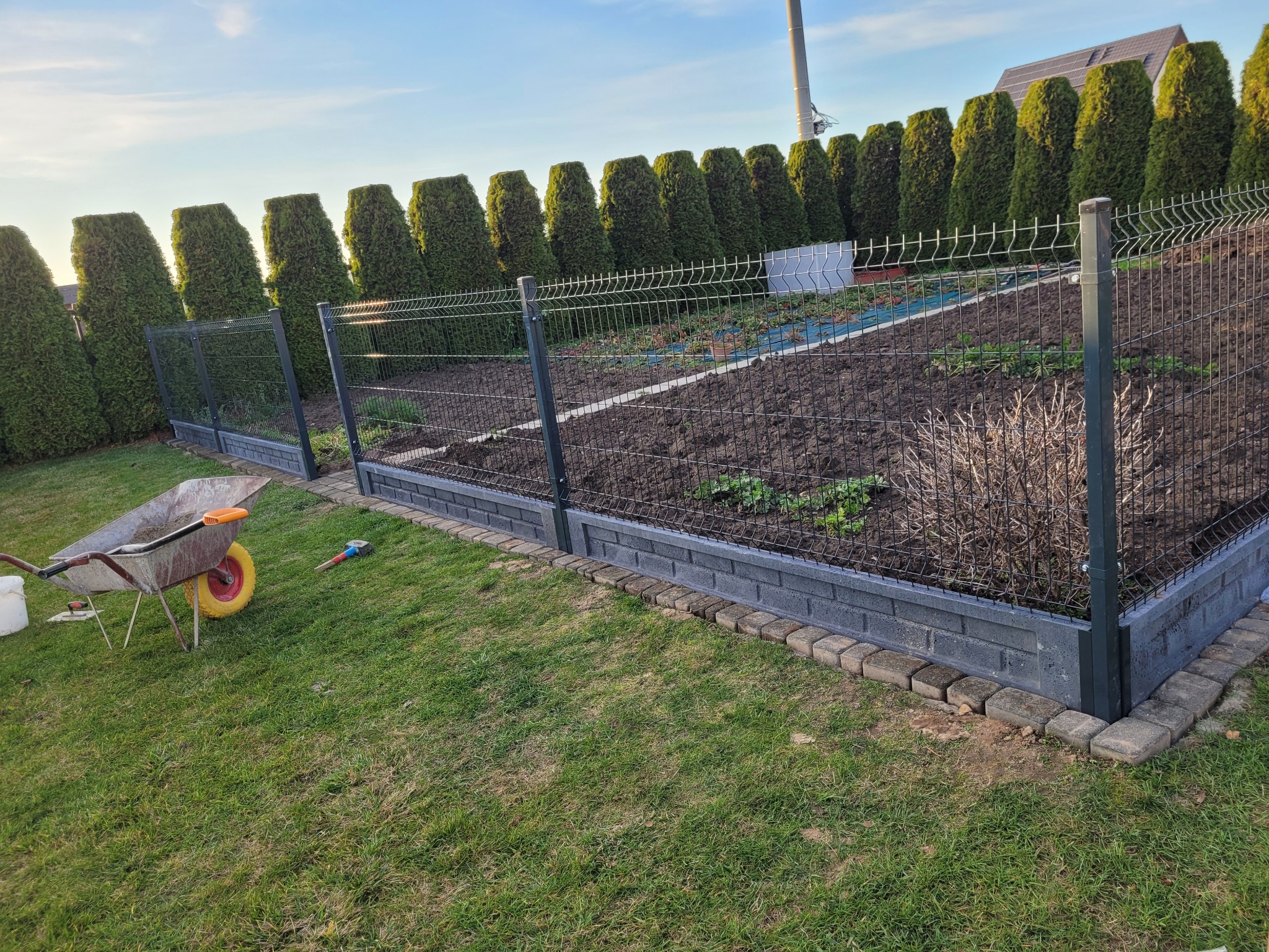 Nowoczesne ogrodzenie panelowe z podmurówką betonową i obrzeżem z kostki, otaczające przygotowany teren pod uprawę, w tle rząd strzyżonych żywotników i fragment domu, na trawniku taczka z narzędziami.