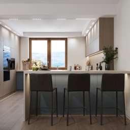 PROJEKTORNIA.COM.PL - wyspa kuchenna