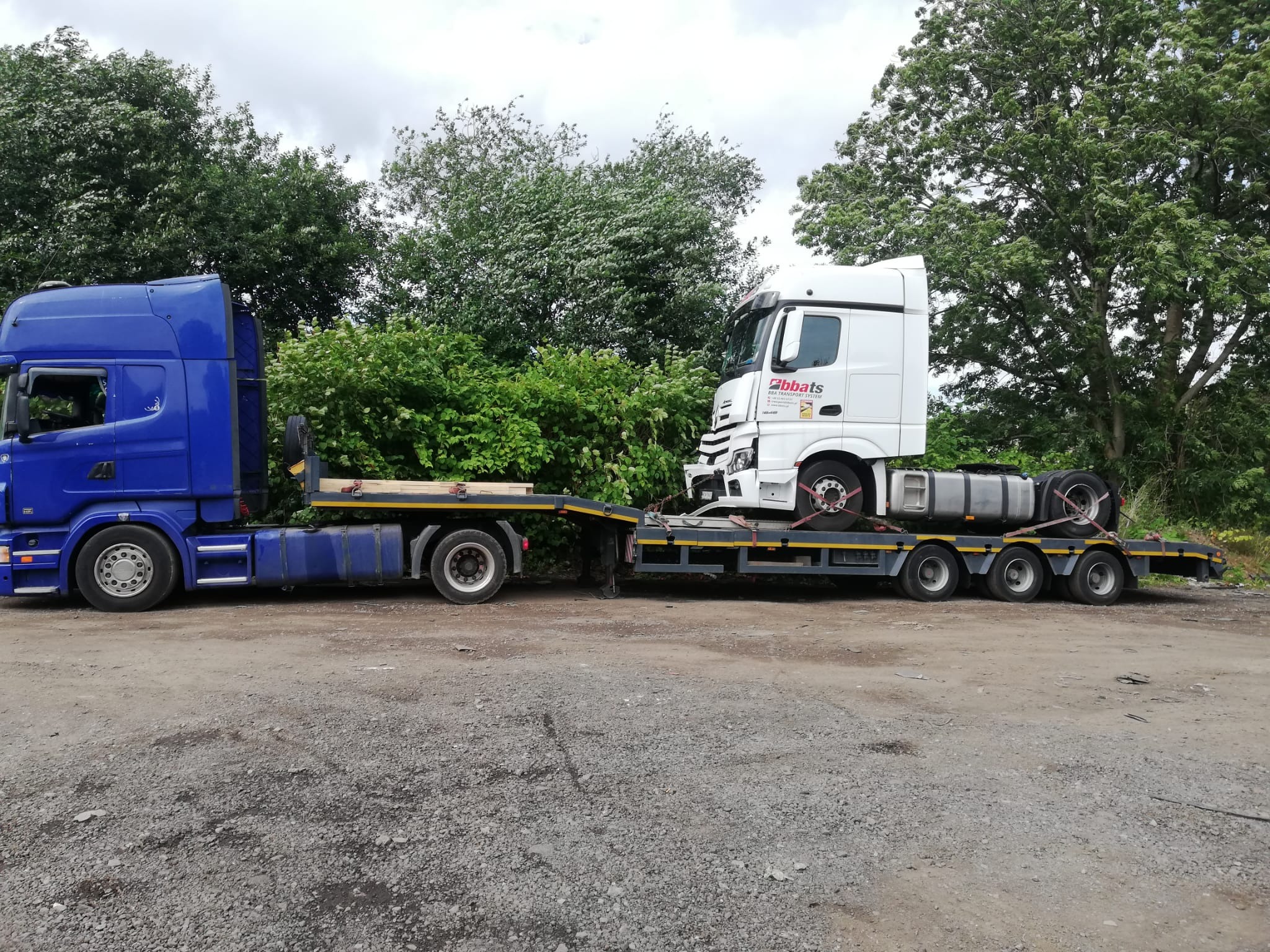 Niebieski ciągnik siodłowy holuje na niskopodwoziowej lawecie biały samochód ciężarowy z logo firmy transportowej na tle zieleni.