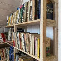 Ręcznie wykonany drewniany regał na książki, wypełniony różnorodnymi tytułami, ukazujący naturalne usłojenie drewna i charakterystyczne niedoskonałości obróbki.