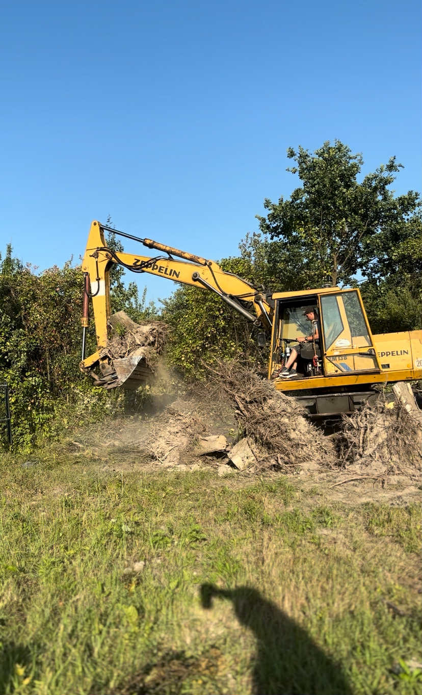 Żółta koparka Zeppelin usuwa korzenie i ziemię z zarośniętego terenu, operator w kabinie, słoneczny dzień, widoczne drzewa w tle.