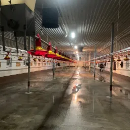 Wnętrze hali produkcyjnej po myciu pod ciśnieniem, widoczne mokre posadzki z odbiciami oświetlenia i element&oacute;w wyposażenia, w tle rzędy karmnik&oacute;w dla zwierząt.