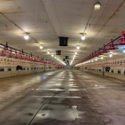 Czyszczenie przemysłowe Skalmierzyce 1