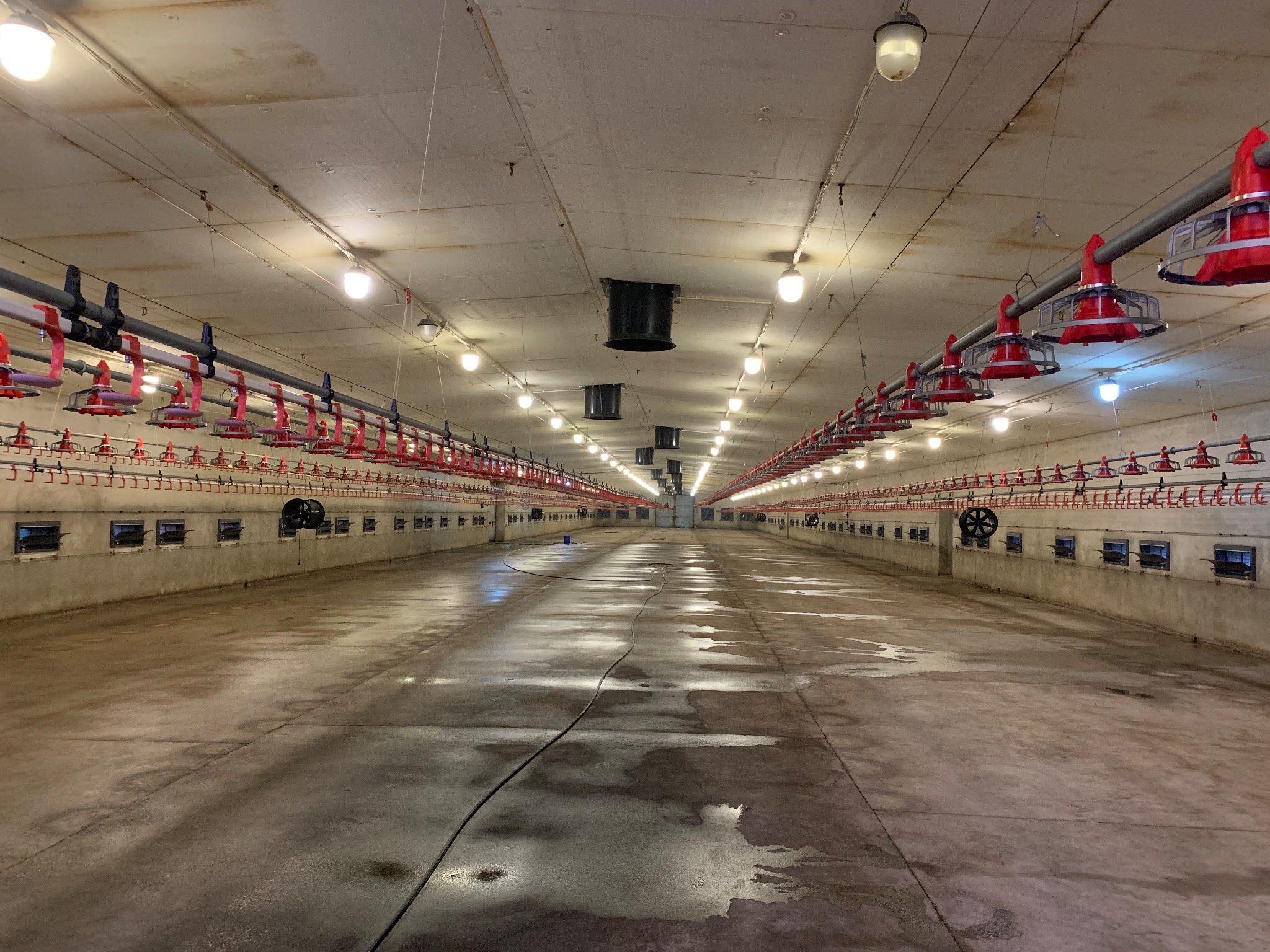 Wnętrze hali z betonową posadzką po myciu ciśnieniowym; widoczne systemy wentylacji i oświetlenia pod sufitem.