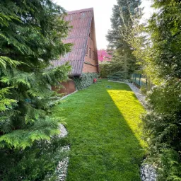 Widok na świeżo skoszony trawnik przed domem z czerwonym dachem, obrzeża wyłożone białymi kamykami, otoczony różnorodną zielenią drzew i krzewów.