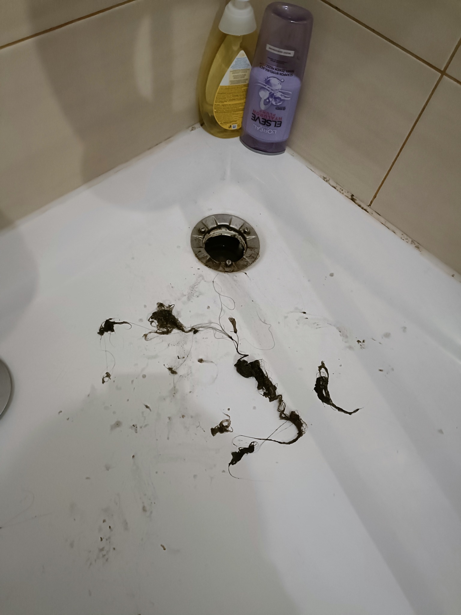 Zablokowany odpływ brodzika z widocznymi włosami i resztkami brudu, obok butelka szamponu i płynu do kąpieli.