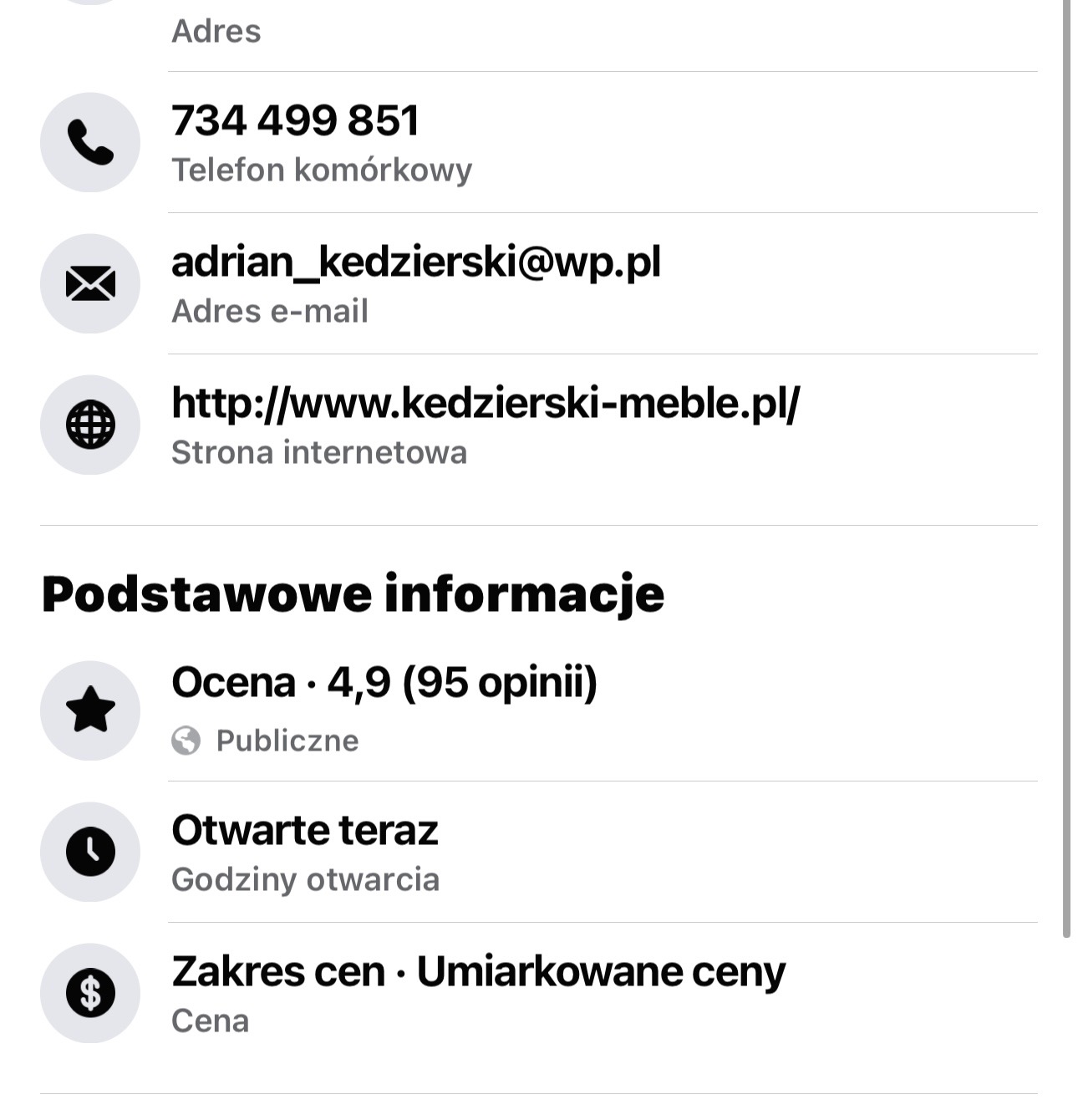 Kontaktowe dane firmy: numer telefonu, adres e-mail, strona internetowa oraz podstawowe informacje: ocena 4.9 (95 opinii), godziny otwarcia i zakres cen (umiarkowane ceny).