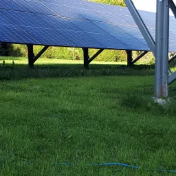 Czyszczenie paneli fotowoltaicznych na trawniku, widoczny pracownik z lancą ciśnieniową, trawa i konstrukcja paneli.