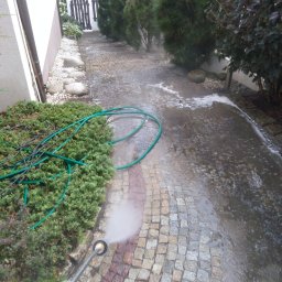 SOLARCELL - Czyszczenie kostki brukowej myjką ciśnieniową w ogrodzie z widokiem na jezioro, widoczny wąż ogrodowy i strumień wody z dyszy.
